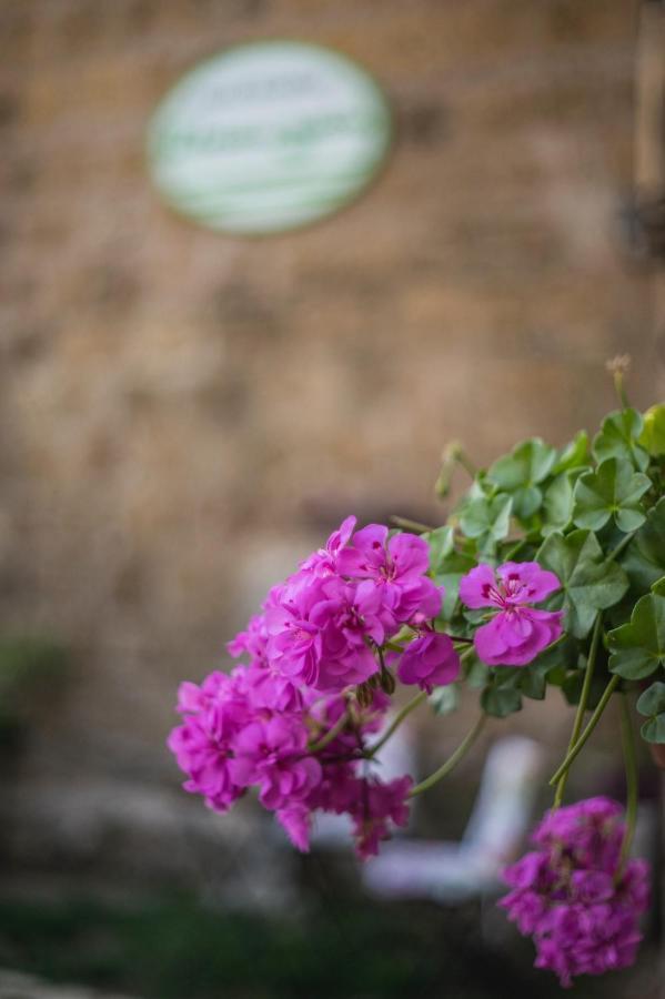 B&B Etruscan Garden Sutri Kültér fotó