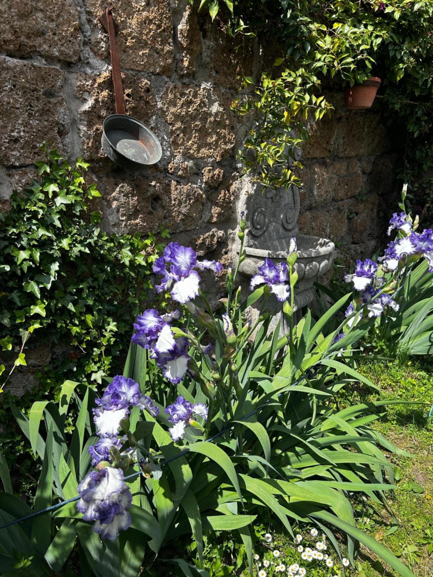 B&B Etruscan Garden Sutri Kültér fotó